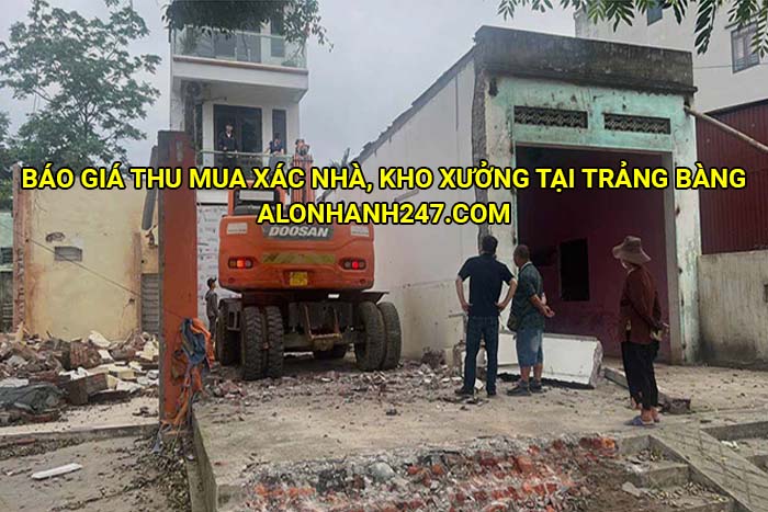 Báo giá thu mua xác nhà, kho xưởng tại Trảng Bàng