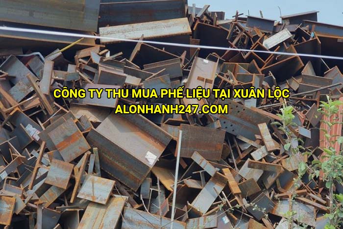 Công ty thu mua phế liệu tại Xuân Lộc