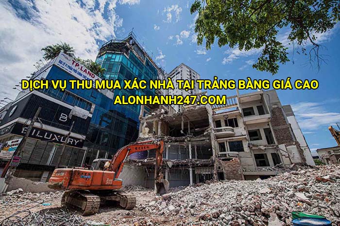 Dịch vụ thu mua xác nhà, kho xưởng tại Trảng Bàng
