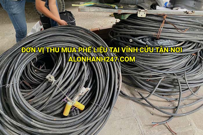 Đơn vị thu mua phế liệu tại Vĩnh Cửu tận nơi