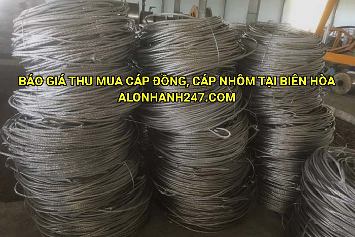 Báo giá thu mua cáp đồng, cáp nhôm tại Biên Hòa
