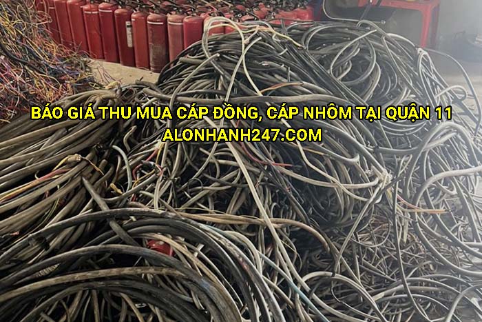 Báo giá thu mua cáp đồng, cáp nhôm tại Quận 11