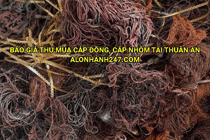 Báo giá thu mua cáp đồng, cáp nhôm tại Thuận An