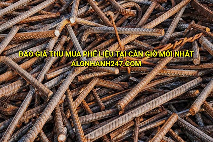 Báo giá thu mua phế liệu tại Cần Giờ mới nhất