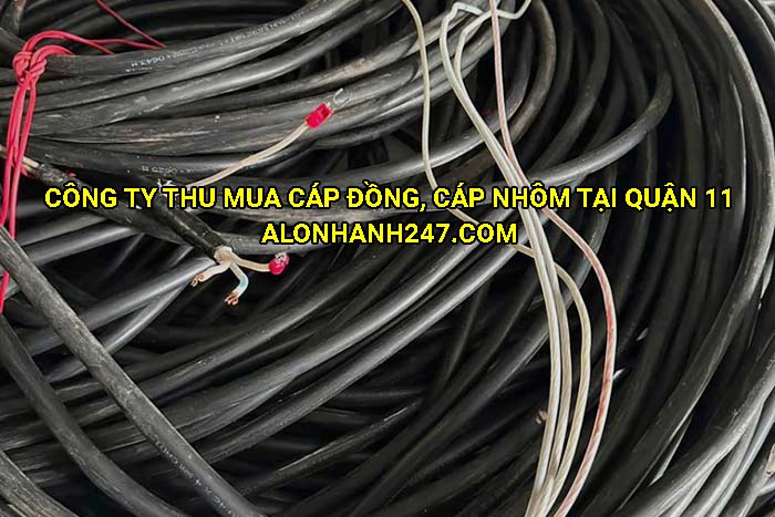 Công ty thu mua cáp đồng, cáp nhôm tại Quận 11