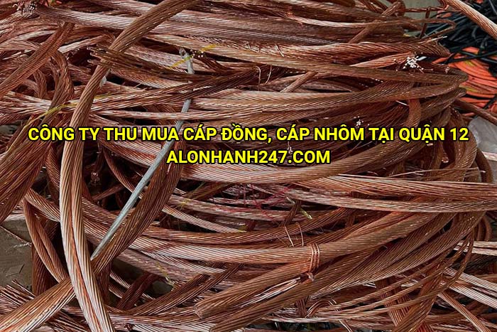 Công ty thu mua cáp đồng, cáp nhôm tại Quận 12