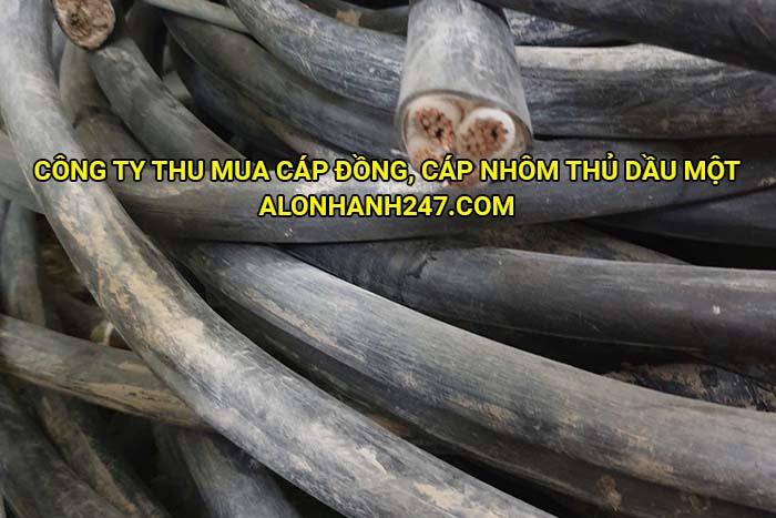 Công ty thu mua cáp đồng, cáp nhôm Thủ Dầu Một
