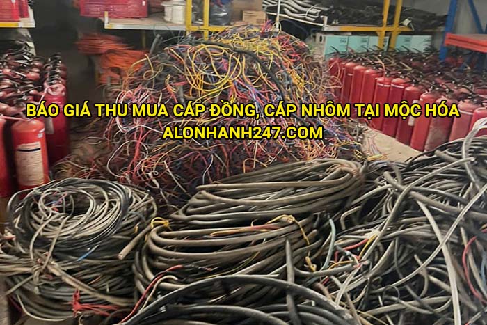 Báo giá thu mua cáp đồng, cáp nhôm tại Mộc Hóa