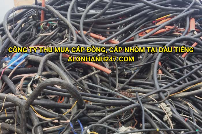 Công ty thu mua cáp đồng, cáp nhôm tại Dầu Tiếng