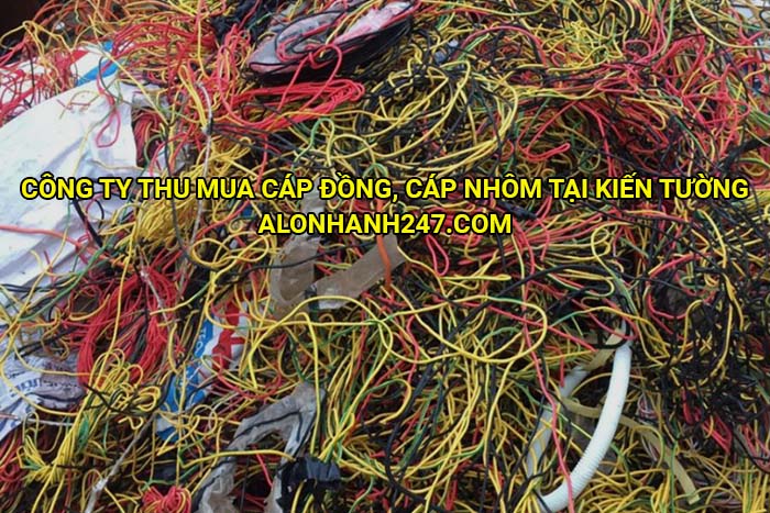 Công ty thu mua cáp đồng, cáp nhôm tại Kiến Tường
