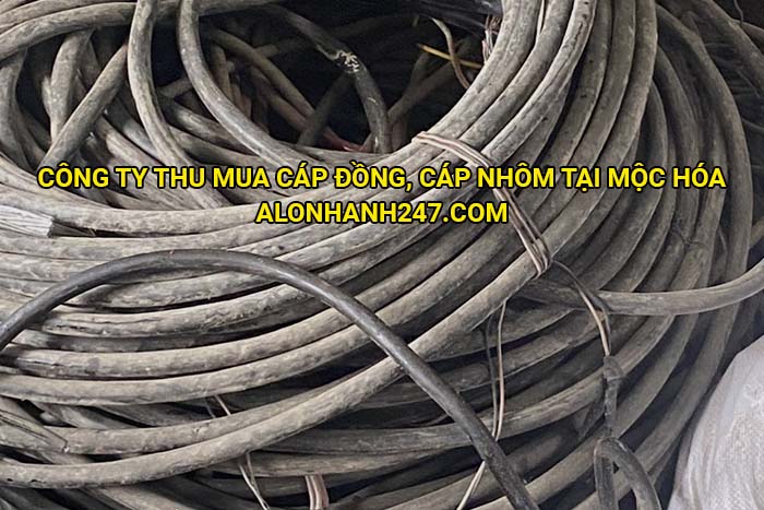 Công ty thu mua cáp đồng, cáp nhôm tại Mộc Hóa
