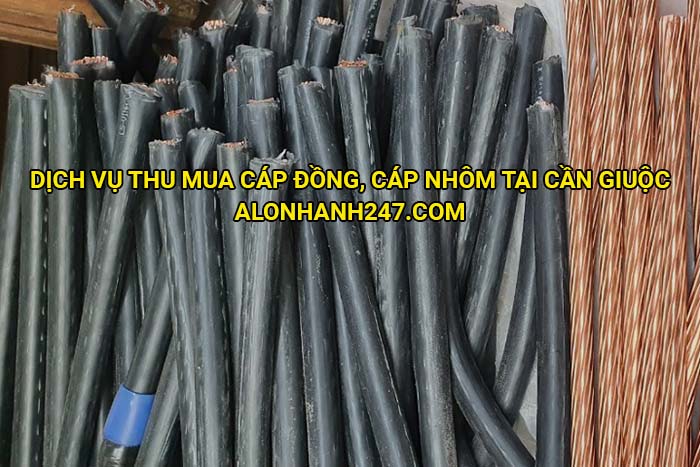 Dịch vụ thu mua cáp đồng, cáp nhôm tại Cần Giuộc