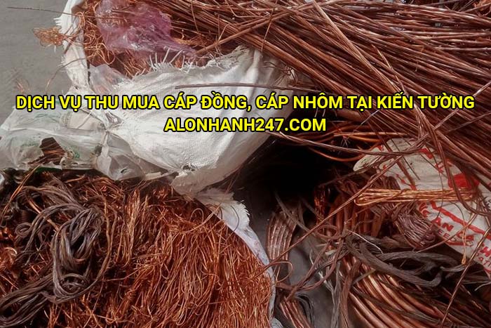 Dịch vụ thu mua cáp đồng, cáp nhôm tại Kiến Tường