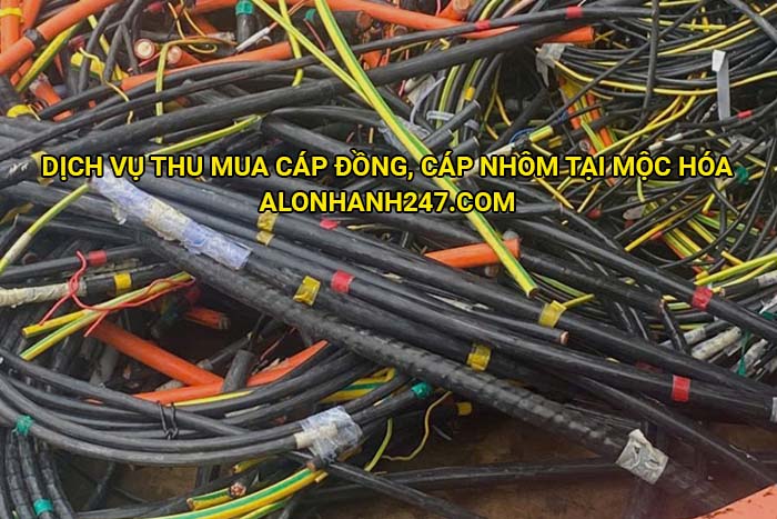 Dịch vụ thu mua cáp đồng, cáp nhôm tại Mộc Hóa