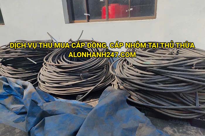 Dịch vụ thu mua cáp đồng, cáp nhôm tại Thủ Thừa