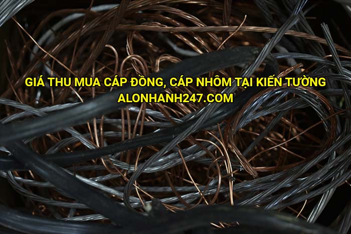 Giá thu mua cáp đồng, cáp nhôm tại Kiến Tường